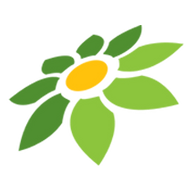 LINK KINGSLOT